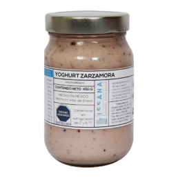 Yoghurt Zarzamora 450ml