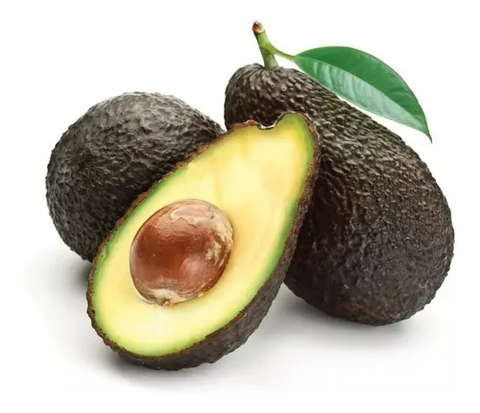 Aguacate Hass Agroecológico