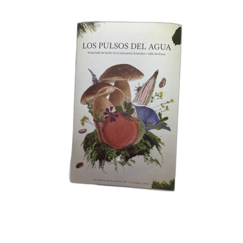 Folleto Renacer del campo